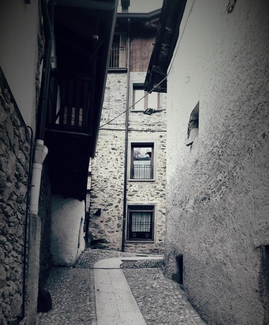 Vivere A Colori Bilocale *